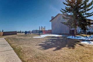 Photo 28: 30 6020 Temple Drive NE in Calgary: Temple Row/Townhouse for sale : MLS®# A2119215