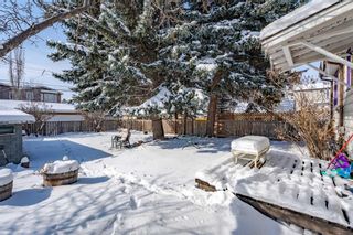 Photo 39: 215 25 Avenue NW in Calgary: Tuxedo Park Detached for sale : MLS®# A2118005