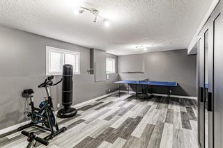 Photo 19: 328 Stonegate Way NW: Airdrie Detached for sale : MLS®# A1218480