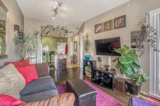 Photo 16: 3206 73 Erin Woods Court SE in Calgary: Erin Woods Apartment for sale : MLS®# A2055179