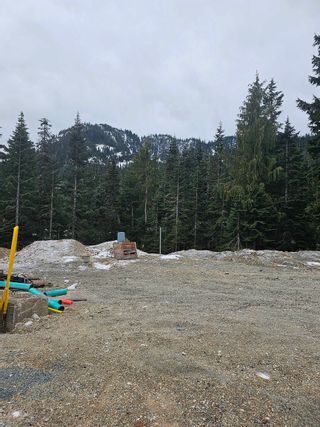 Photo 10: 20908 SNOWFLAKE Place in Agassiz: Hemlock Land for sale (Mission)  : MLS®# R2835217
