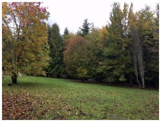 Photo 7: 1546 Blind Bay Road in Blind Bay: Vacant Land for sale : MLS®# 10125568