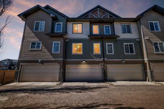 Photo 44: 248 Skyview Ranch Way NE in Calgary: Skyview Ranch Row/Townhouse for sale : MLS®# A2124749