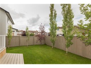 Photo 37: 145 WEST CREEK Boulevard: Chestermere House for sale : MLS®# C4073068
