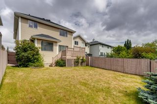 Photo 43: 131 Citadel Crest Green NW in Calgary: Citadel Detached for sale : MLS®# A1124177