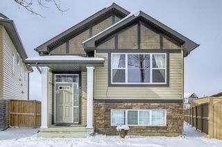 Photo 38: 250 Martinwood Place NE in Calgary: Martindale Detached for sale : MLS®# A1186078