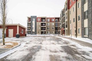 Photo 27: 308 5 Saddlestone Way NE in Calgary: Saddle Ridge Apartment for sale : MLS®# A2112289