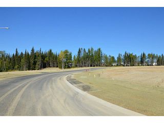 Photo 4: LOT 18 BELL Place in Mackenzie: Mackenzie -Town Land for sale in "BELL PLACE" : MLS®# N227311