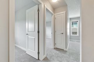 Photo 38: 262 Tremblant Way SW in Calgary: Springbank Hill Detached for sale : MLS®# A1239753