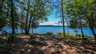 Photo 22: 16 Bigwin Island in Lake of Bays: House (Other) for sale : MLS®# X5727797