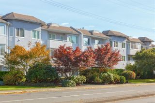 Photo 3: 209 3931 Shelbourne St in Saanich: SE Mt Tolmie Condo for sale (Saanich East)  : MLS®# 903130