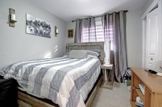 Photo 24: 13 sherwood Parade in Calgary: Sherwood Detached for sale : MLS®# A1210198