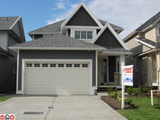 Photo 1: 7309 199TH Street in Langley: Willoughby Heights House for sale : MLS®# F1006237