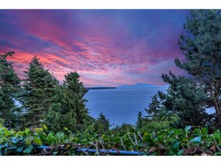 Photo 34: 13910 TERRY ROAD in White Rock: House for sale : MLS®# R2793371