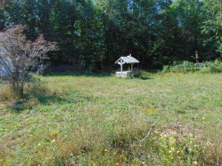 Photo 23: 5068 Highway 340 in Forest Glen: County Hwy 340- Hwy 203 East Residential for sale (Yarmouth)  : MLS®# 202017040