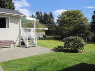 Photo 9: 21430 CAMPBELL Avenue in Maple Ridge: West Central House for sale : MLS®# V1002356