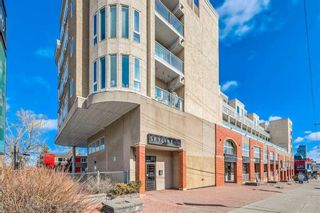 Photo 28: 310 1540 17 Avenue SW in Calgary: Sunalta Apartment for sale : MLS®# A2101024