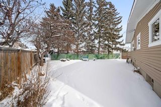 Photo 36: 444 Willowdale Crescent SE in Calgary: Willow Park Detached for sale : MLS®# A2112547