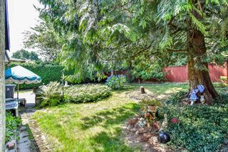 Photo 7: 6315 195B Street in Surrey: Clayton House for sale (Cloverdale)  : MLS®# R2293404