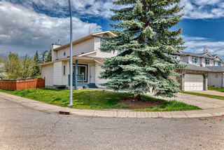 Photo 42: 167 River Rock Crescent SE in Calgary: Riverbend Detached for sale : MLS®# A2130185
