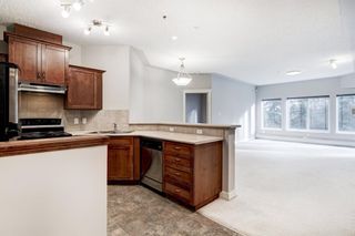 Photo 5: 234 10 Discovery Ridge Close SW in Calgary: Discovery Ridge Apartment for sale : MLS®# A1176936