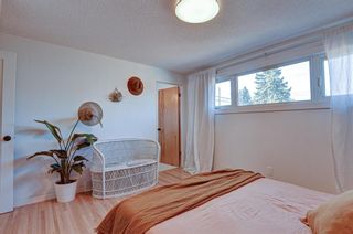 Photo 12: 655 Acadia Drive SE in Calgary: Willow Park Detached for sale : MLS®# A1154623
