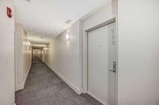 Photo 22: 208 22 Auburn Bay Link SE in Calgary: Auburn Bay Apartment for sale : MLS®# A2118614