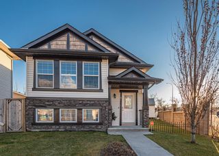 Photo 1: 5 Evanston Way NW in Calgary: Evanston Detached for sale : MLS®# A1161114
