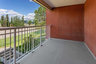 Photo 17: 208 5115 Richard Road SW in Calgary: Lincoln Park Apartment for sale : MLS®# A2144232