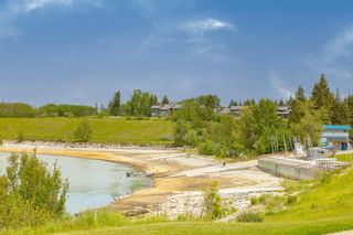 Photo 41: 108 Cedarpark Drive SW in Calgary: Cedarbrae Detached for sale : MLS®# A2014682
