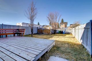 Photo 43: 80 Martinbrook Road NE in Calgary: Martindale Detached for sale : MLS®# A1162744