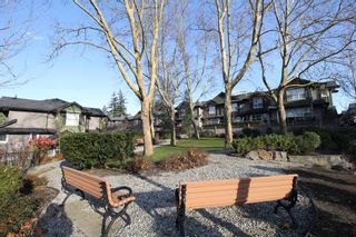 Photo 15: 76 18199 70 Avenue in Surrey: Cloverdale BC Townhouse for sale in "Augusta" (Cloverdale)  : MLS®# R2422353