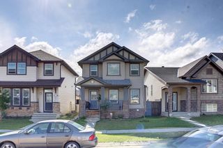 Photo 41: 193 Skyview Ranch Drive NE in Calgary: Skyview Ranch Detached for sale : MLS®# A1235808