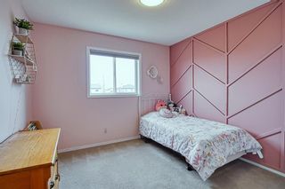 Photo 25: 16 Crilly Close NE: Langdon Detached for sale : MLS®# A2042393