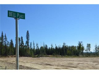 Photo 21: LOT 7 BELL Place in Mackenzie: Mackenzie -Town Land for sale in "BELL PLACE" : MLS®# N227300