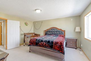 Photo 29: 35 Saddlehorn Crescent NE in Calgary: Saddle Ridge Detached for sale : MLS®# A1225112