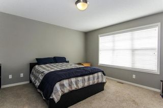 Photo 24: 444 CRANBERRY Circle SE in Calgary: Cranston House for sale : MLS®# C4139155