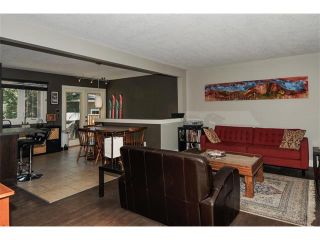 Photo 10: 23 FAIRVIEW Crescent SE in Calgary: Fairview House for sale : MLS®# C4019623