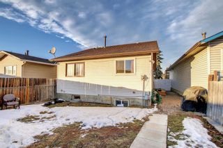 Photo 34: 3727 44 Avenue NE in Calgary: Whitehorn Detached for sale : MLS®# A1172903