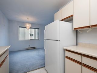 Photo 11: 205 2427 Amherst Ave in Sidney: Si Sidney North-East Condo for sale : MLS®# 870018