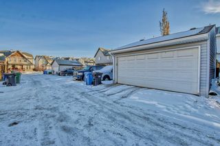 Photo 29: 145 Elgin Meadows View SE in Calgary: McKenzie Towne Semi Detached (Half Duplex) for sale : MLS®# A2012339