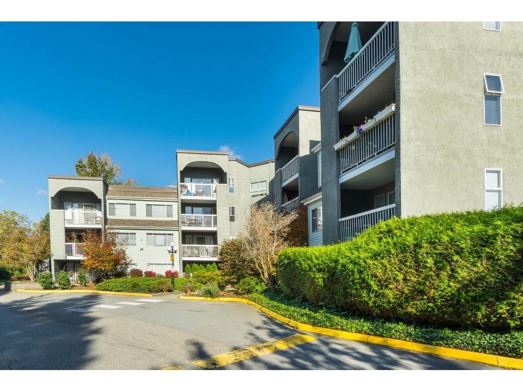 Main Photo: 104 5700 200 STREET in Langley: Langley City Condo for sale : MLS®# R2413141