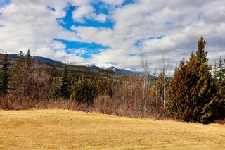 Photo 11: 849 37 Highway: Kitwanga House for sale (Smithers And Area (Zone 54))  : MLS®# R2679796