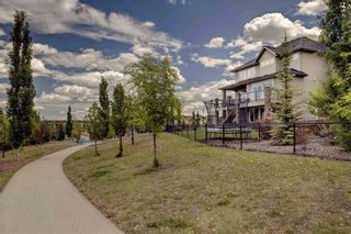 Photo 44: 24 CRANARCH Heights SE in Calgary: Cranston Detached for sale : MLS®# C4253420