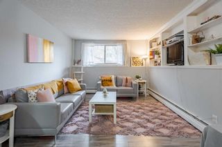 Photo 17: 102 823 19 Avenue SW in Calgary: Lower Mount Royal Apartment for sale : MLS®# A2125655