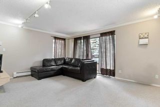 Photo 14: 205 3730 50 Street NW in Calgary: Varsity Apartment for sale : MLS®# A2088182