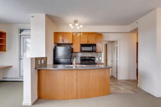 Photo 6: 433 910 Centre Avenue NE in Calgary: Bridgeland/Riverside Apartment for sale : MLS®# A1075371