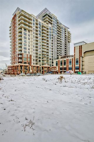 Photo 37: 1313 8710 Horton Road SW in Calgary: Haysboro Apartment for sale : MLS®# A2014731