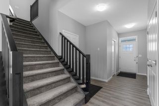Photo 34: 146 Red Sky Crescent NE in Calgary: Redstone Detached for sale : MLS®# A2052234