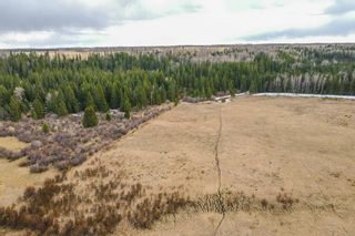 Photo 31: 64049 (A&B) Highway 54: Rural Clearwater County Agriculture for sale : MLS®# A1209840